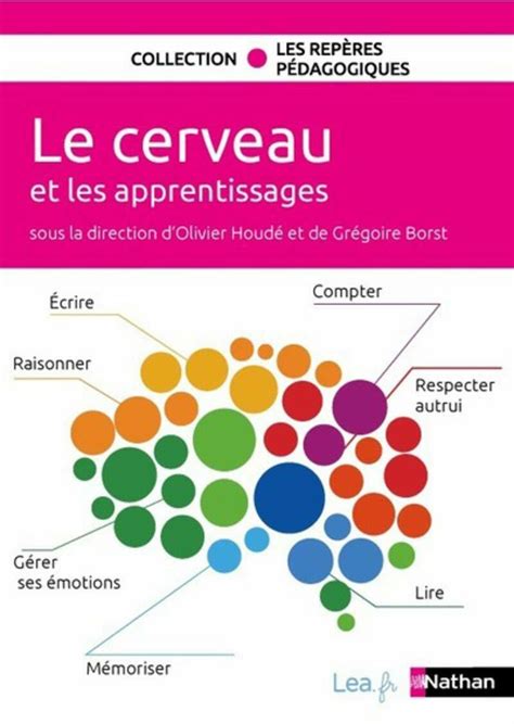 À La Découverte Du Cerveau Et Des Processus Cognitifs