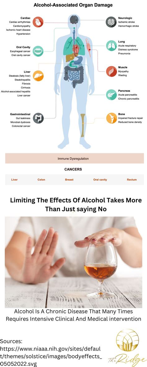 Decoding Alcohol Use Disorder: Its Undeniable Effects on Life and Health - The Ridge Ohio