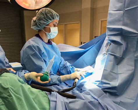 Equine Surgery Poulsbo Vets