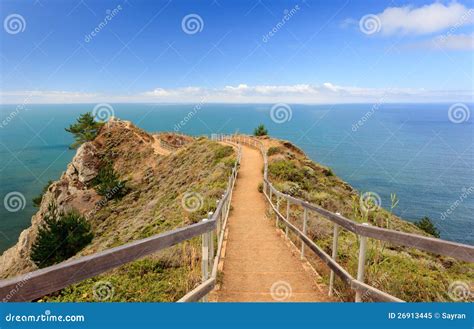 Pacific ocean park stock image. Image of coast, pacific - 26913445