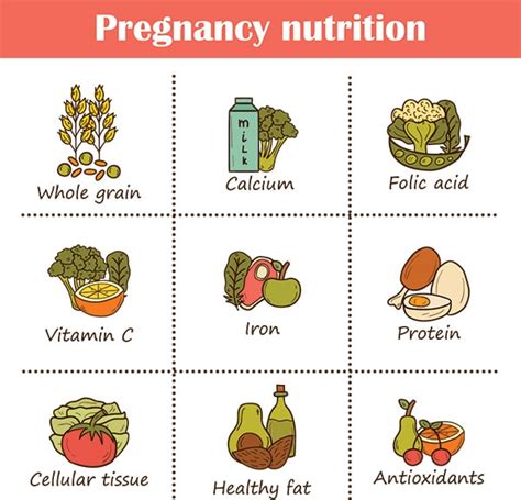 The Dos And Donts Of Pregnancy Nutrition