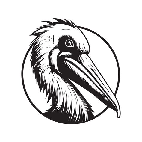 Pelican Vintage Logo Line Art Concept Black And White Color Hand