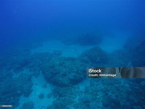 Scuba Diving At Chichi Jima Bonin Island Ogasawara Stock Photo