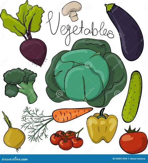 Vegetais Dos Desenhos Animados Ilustra O Do Vetor Imagem