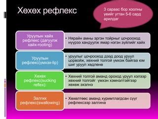 хооллох,зажлах,залгих үйл | PPT