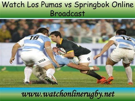 Rugby Championship Los Pumas Vs Springbok PPT