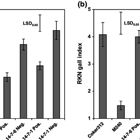 Root Knot Nematode Rkn Susceptibility Of Transgene Positive And