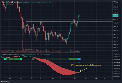 Bitcoin Long Term Buy Indicator Just Flashed As Btc Faces Critical