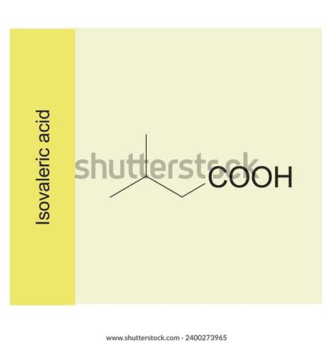 Isovaleric Acid Skeletal Structure Diagramhemiterpenoid Molecule Stock ...