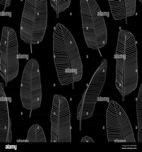 Beautifil Palm Tree Leaf Silhouette Seamless Pattern Background