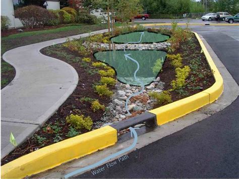 City Of Victoria Showcases Green Infrastructure Demonstration Project