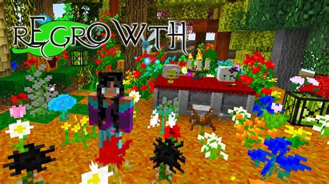 Regrowth Part 22 An Update Minecraft Java Modpack YouTube