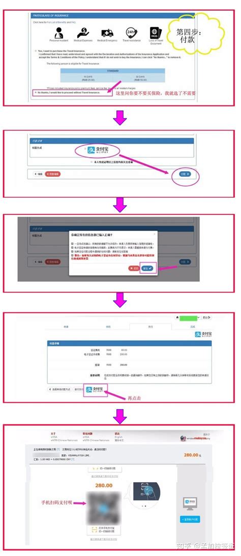 马来西亚电子签证申请流程入境攻略 知乎