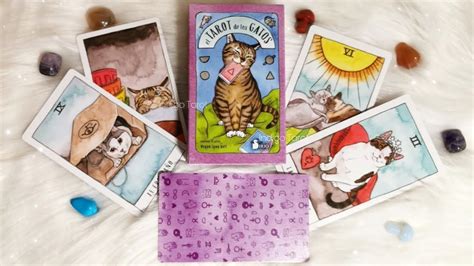 Mensaje Rese A El Tarot De Los Gatos Youtube