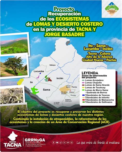 Proyecto de recuperación de los ecosistemas de lomas y desiertos en la