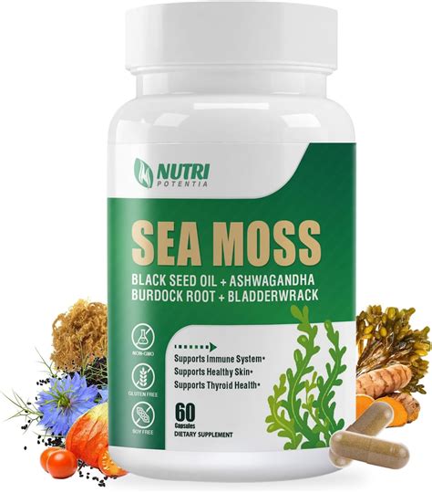 Amazon Irish Sea Moss Capsules Sea Moss Advanced With Black Seed