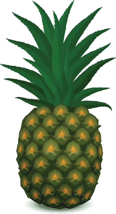 Pineapple Png Images Transparent Free Download