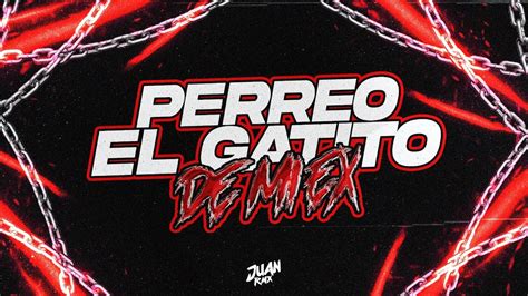 PERREO EL GATITO DE MI EX JUAN RMX YouTube