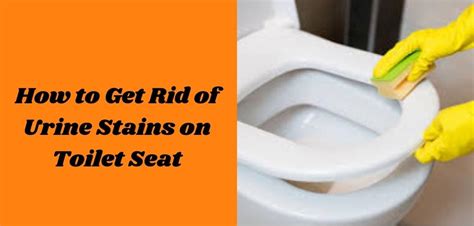 What Removes Urine Stains From Toilet Seats At Holleyccoxo Blog