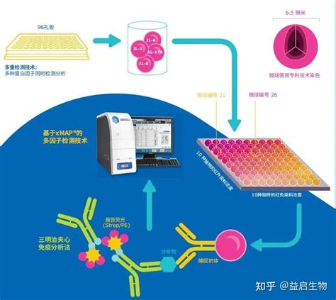 单孔实现几十种蛋白检测的MILLIPLEX技术是如何做到的 知乎