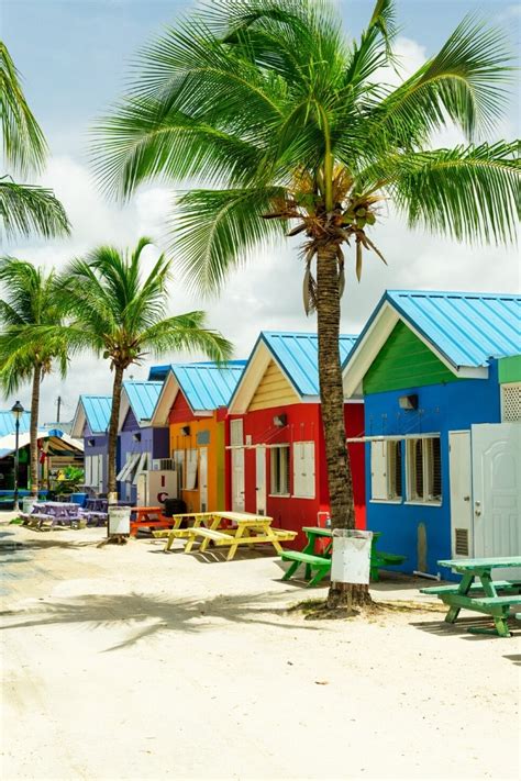 2021 Barbados Travel Guide Read This Before Visiting Barbados