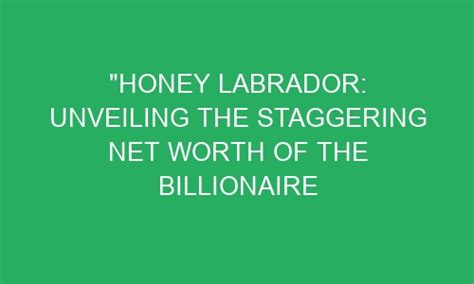 Honey Labrador Unveiling The Staggering Net Worth Of The Billionaire