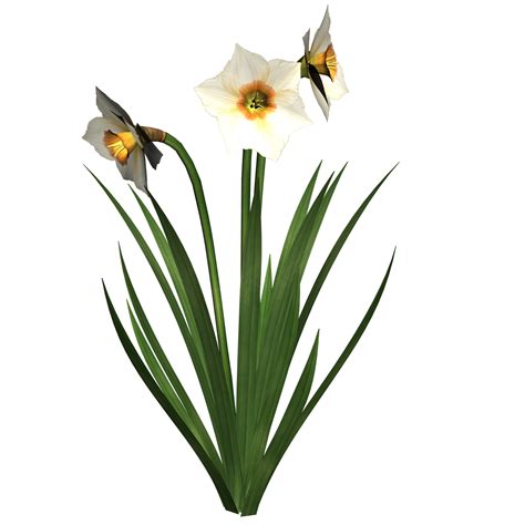 Misc Png Clip Art 2