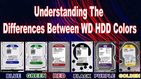 Understanding The Differences Between Wd Hdd Colors Blue Red Green