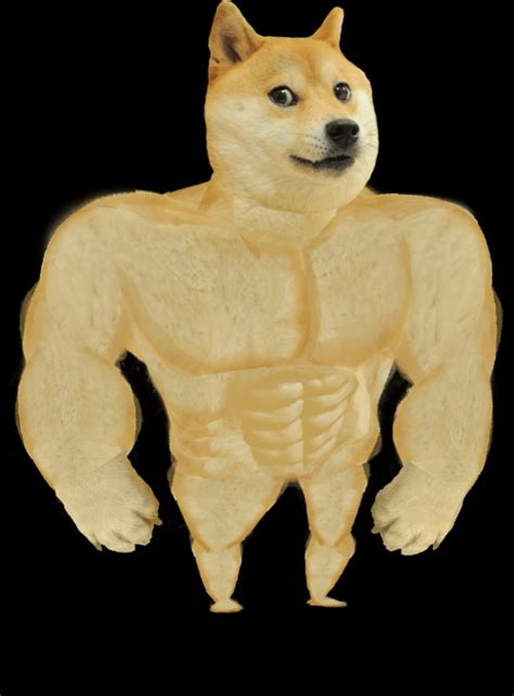 Swole Doge Memes Imgflip