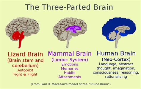 Taming The Lizard Brain Quillette