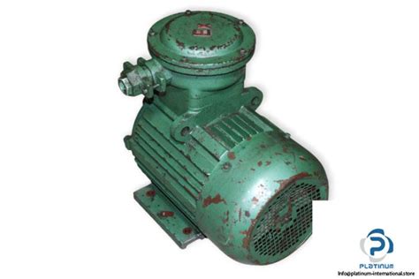 Flameproof Yb S Phase Electric Motor Platinum International