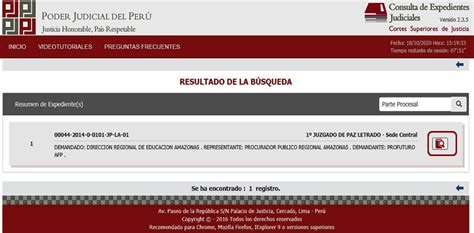 Poder Judicial Expedientes Judiciales Cómo Consultarlos 2025