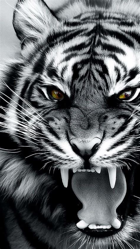 Angry White Tigers