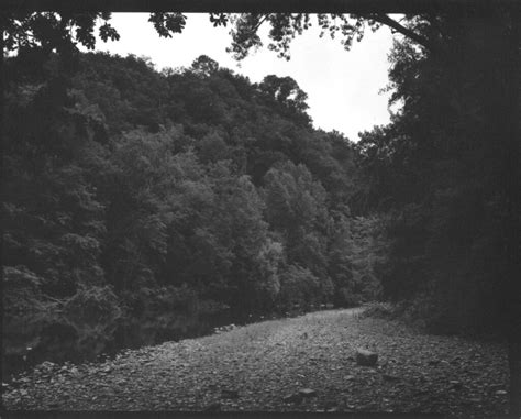 Giardino Segreto Lungo Il Fiume Tra Gli Alberi Flickr