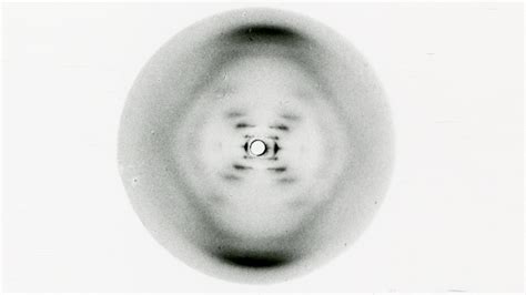 Día mundial del ADN: Rosalind Franklin v Watson, Crick & Wilkins