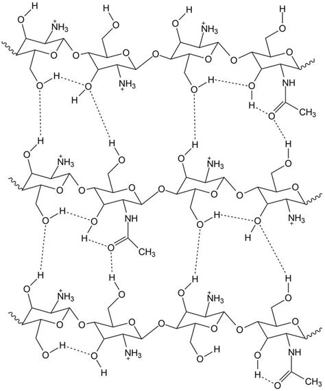 The Intramolecular And Intermolecular Hydrogen Bonding That Occurs In Download Scientific