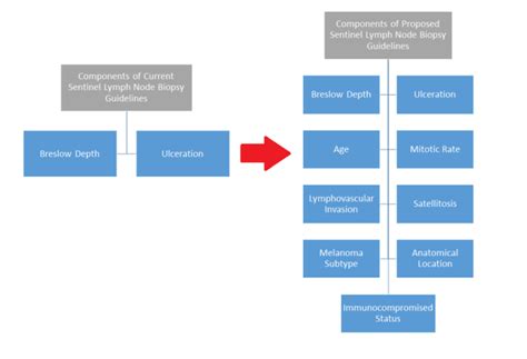 Redesigning Sentinel Lymph Node Biopsy Guidelines In Melanoma Cases