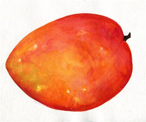 Mango Watercolor Painting Original 8 X 10 Tropical Fruit Art Etsy