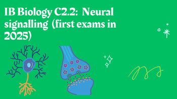 Ib Biology C Neural Signalling First Exams In Tpt