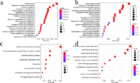 Functional Analysis Of DEGs Bubble Charts Showing The 20 Most