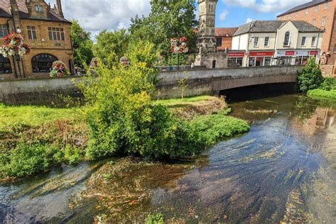 7 Unique Things To Do In And Around Salisbury UK