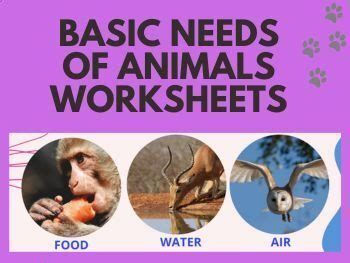 Basic Needs Of Animals Printable Worksheets | Teaching Resources