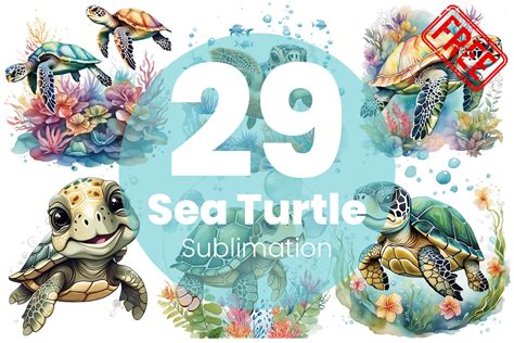 Sea Turtle Sublimation Designs PNG Graphic By Wassim Designs Creative