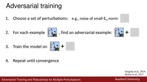 Adversarial Training And Robustness For Multiple Perturbations Ppt