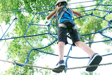 Premium Photo Child Boy Having Summer Fun At Adventure Park On The