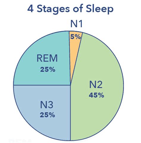 N3 Slow Wave Sleep Sleepopolis