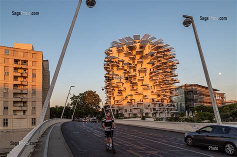 Photo De Immeuble Moderne L Arbre Blanc Architectes Soo Foujimoto