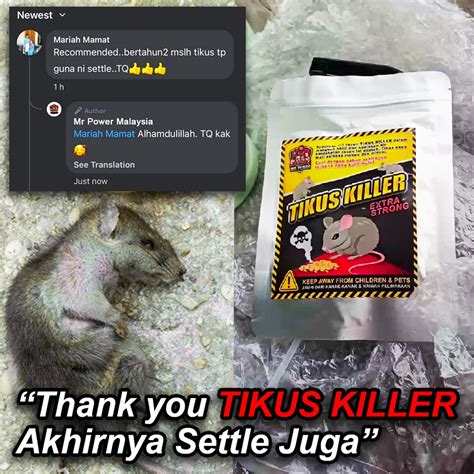 Racun Tikus Berkesan Racun Tikus Ubat Tikus 50g Rat Killer