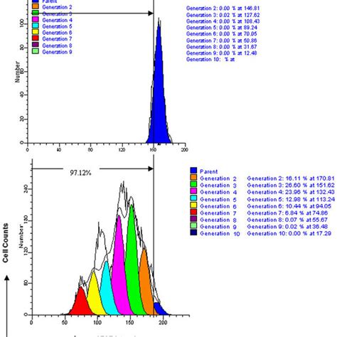 Flow Cytometric Analysis Of Cfse Fl1 And Pi Fl3 Labeled Target