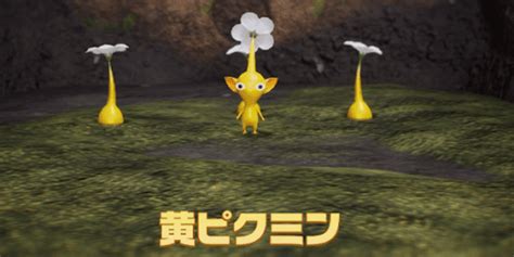 【ピクミン4】黄ピクミンの解放条件と能力【pikmin4】 神ゲー攻略